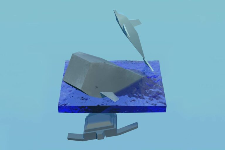 AS3U2+AS3U1a: Highlife und Lowpoly im Kölner Zoo